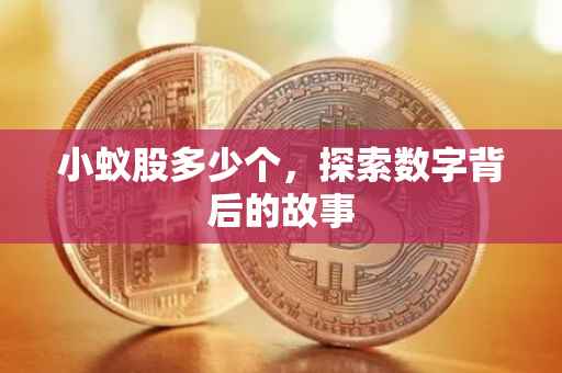 小蚁股多少个，探索数字背后的故事