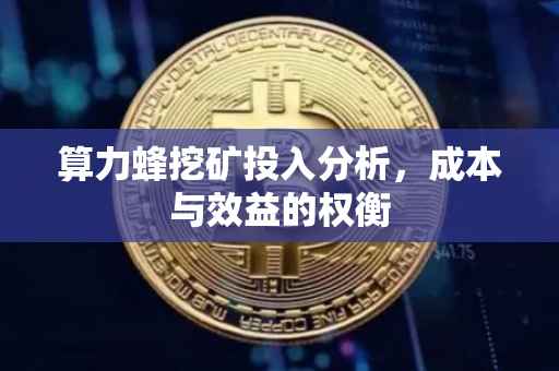 算力蜂挖矿投入分析，成本与效益的权衡