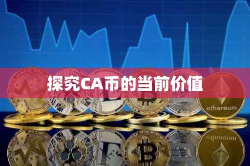 探究CA币的当前价值