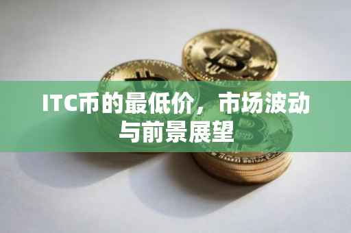 ITC币的最低价，市场波动与前景展望