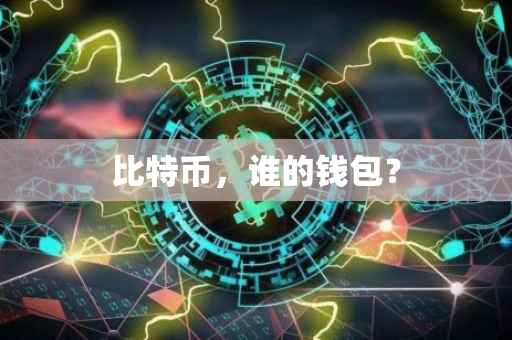比特币，谁的钱包？
