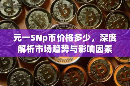 元一SNp币价格多少，深度解析市场趋势与影响因素