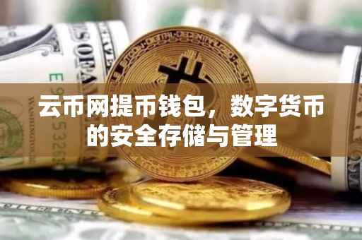 云币网提币钱包，数字货币的安全存储与管理