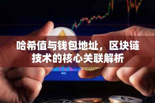 哈希值与钱包地址，区块链技术的核心关联解析