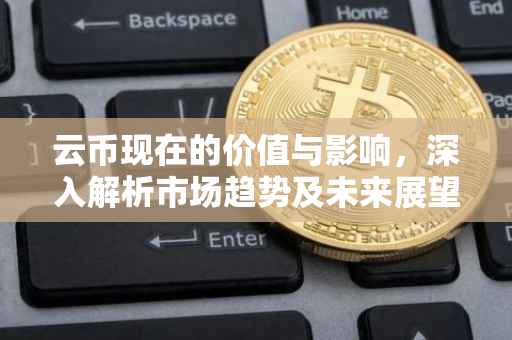 云币现在的价值与影响，深入解析市场趋势及未来展望