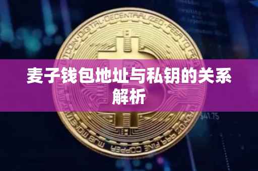 麦子钱包地址与私钥的关系解析