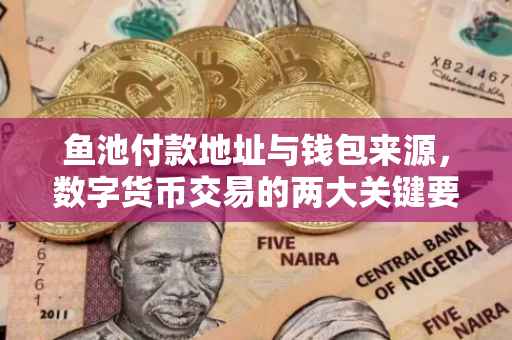 鱼池付款地址与钱包来源，数字货币交易的两大关键要素