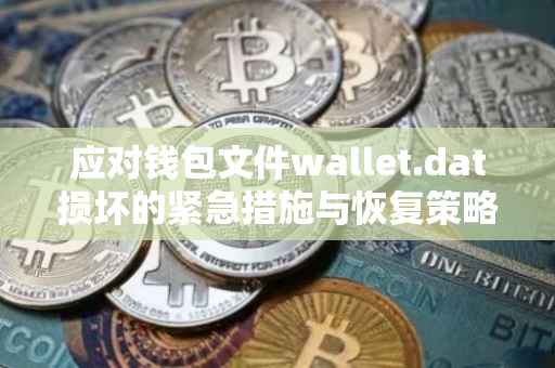 应对钱包文件wallet.dat损坏的紧急措施与恢复策略