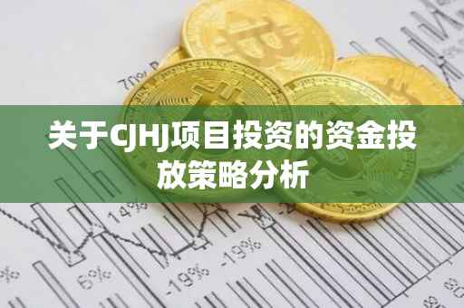 关于CJHJ项目投资的资金投放策略分析