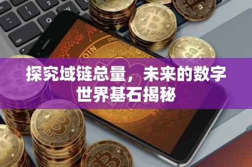 探究域链总量，未来的数字世界基石揭秘