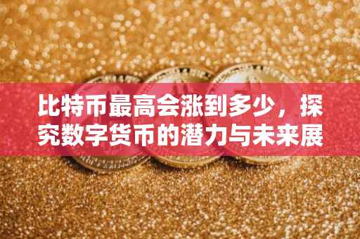 比特币最高会涨到多少，探究数字货币的潜力与未来展望