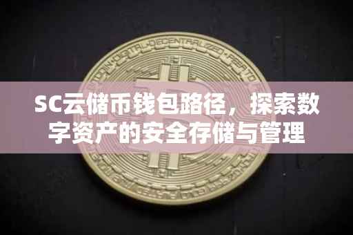 SC云储币钱包路径，探索数字资产的安全存储与管理