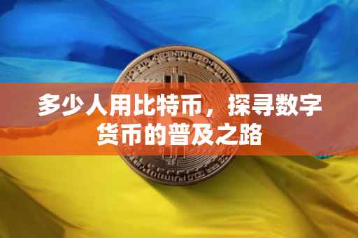 多少人用比特币，探寻数字货币的普及之路