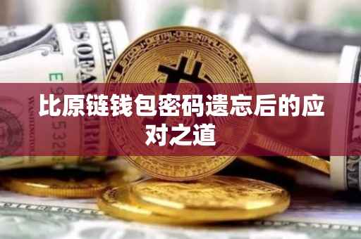 比原链钱包密码遗忘后的应对之道
