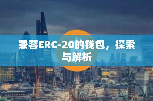 兼容ERC-20的钱包，探索与解析