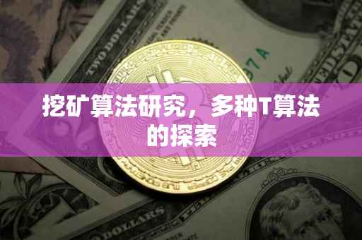 挖矿算法研究，多种T算法的探索