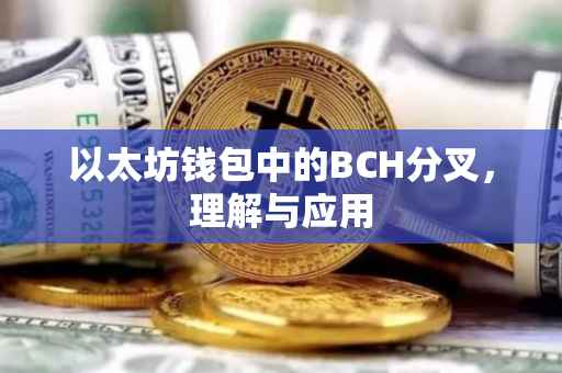 以太坊钱包中的BCH分叉，理解与应用