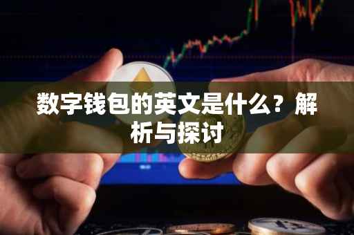 数字钱包的英文是什么？解析与探讨