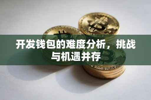 开发钱包的难度分析，挑战与机遇并存