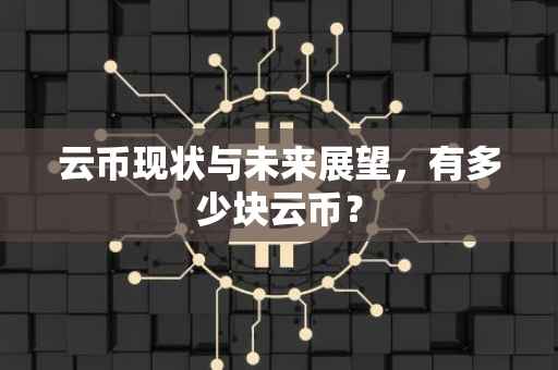 云币现状与未来展望，有多少块云币？