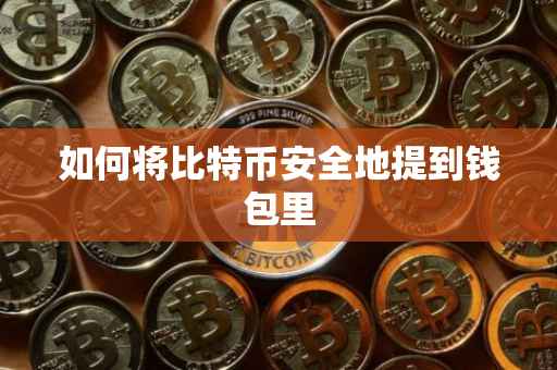 如何将比特币安全地提到钱包里