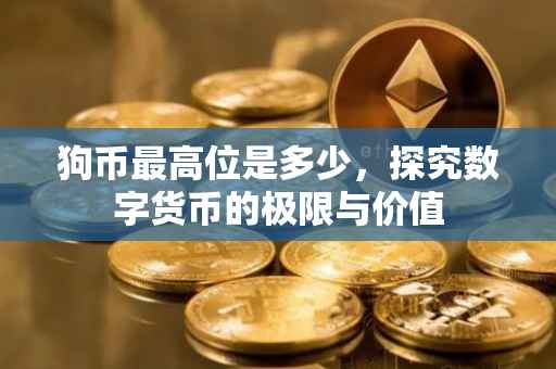 狗币最高位是多少，探究数字货币的极限与价值