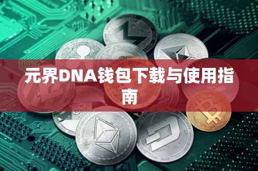 元界DNA钱包下载与使用指南