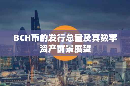 BCH币的发行总量及其数字资产前景展望