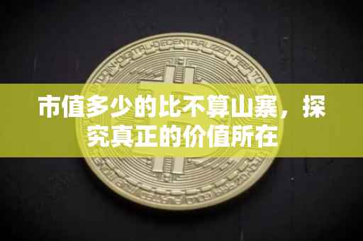 市值多少的比不算山寨，探究真正的价值所在