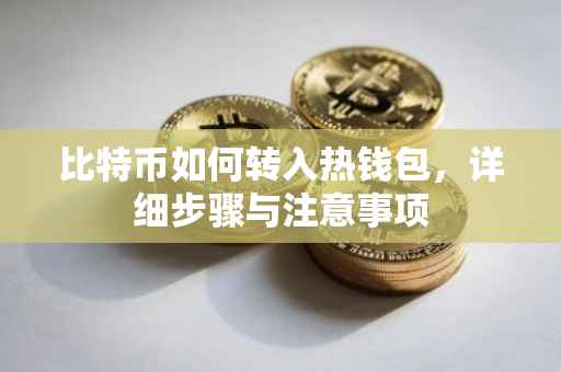 比特币如何转入热钱包，详细步骤与注意事项