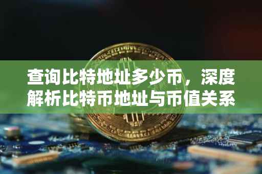 查询比特地址多少币，深度解析比特币地址与币值关系
