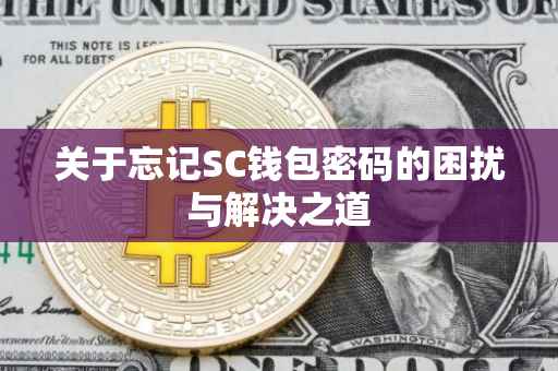 关于忘记SC钱包密码的困扰与解决之道