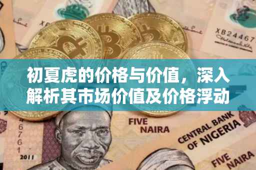 初夏虎的价格与价值，深入解析其市场价值及价格浮动因素