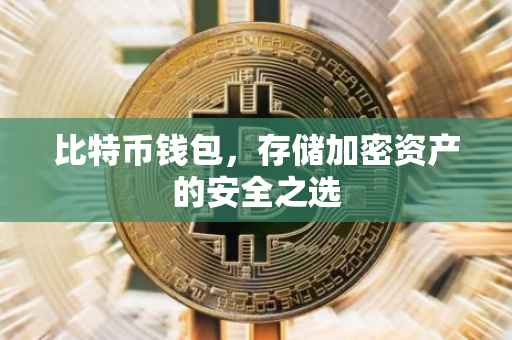 比特币钱包，存储加密资产的安全之选