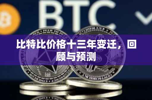 比特比价格十三年变迁，回顾与预测