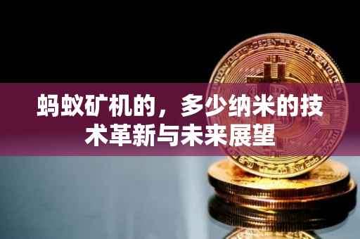 蚂蚁矿机的，多少纳米的技术革新与未来展望