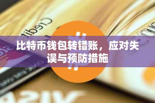 比特币钱包转错账，应对失误与预防措施