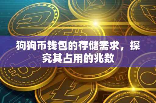 狗狗币钱包的存储需求，探究其占用的兆数