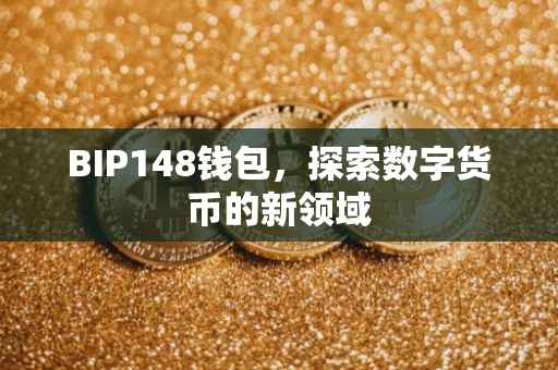 BIP148钱包，探索数字货币的新领域