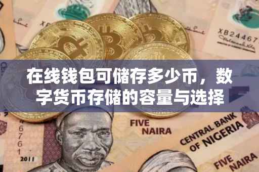在线钱包可储存多少币，数字货币存储的容量与选择