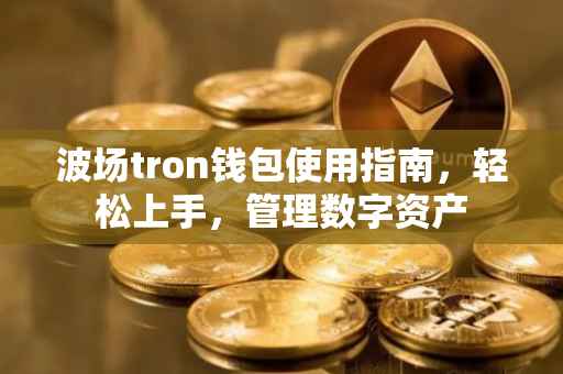 波场tron钱包使用指南，轻松上手，管理数字资产