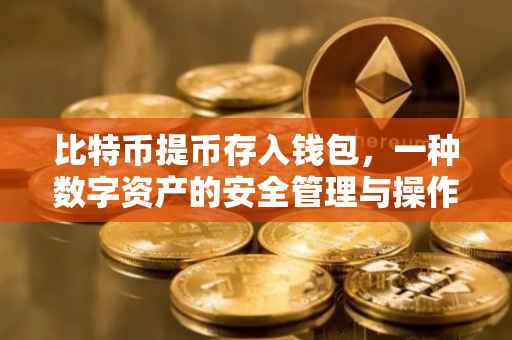 比特币提币存入钱包，一种数字资产的安全管理与操作指南
