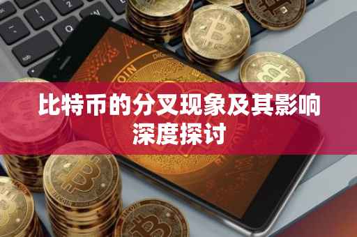 比特币的分叉现象及其影响深度探讨