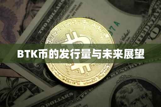 BTK币的发行量与未来展望