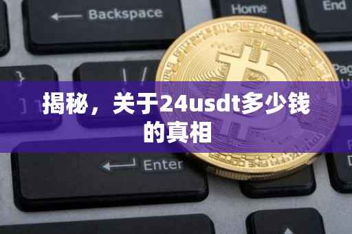 揭秘，关于24usdt多少钱的真相