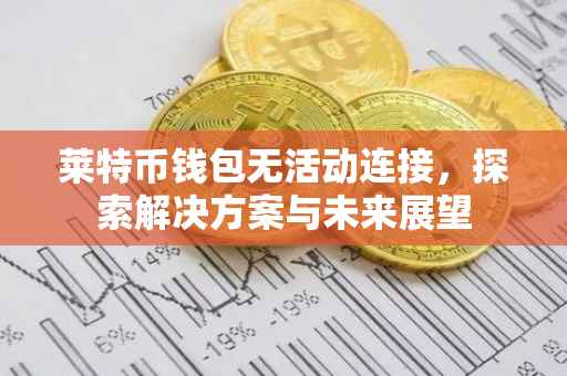 莱特币钱包无活动连接，探索解决方案与未来展望