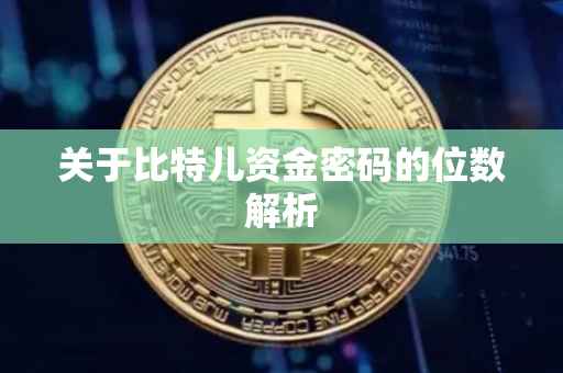 关于比特儿资金密码的位数解析