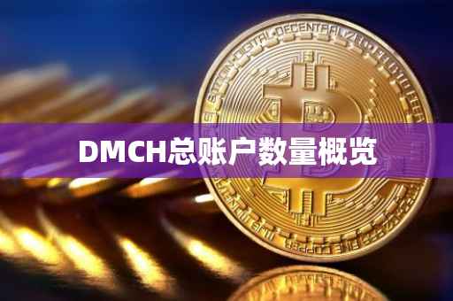 DMCH总账户数量概览