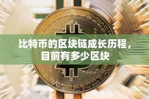 比特币的区块链成长历程，目前有多少区块