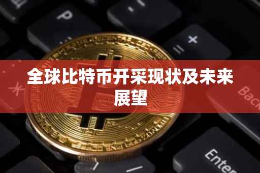 全球比特币开采现状及未来展望